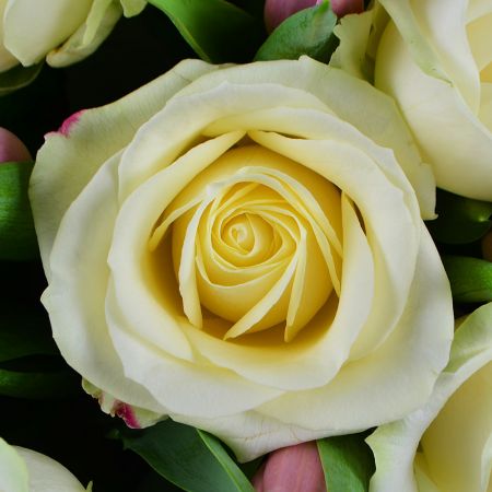 Buy a bouquet of white roses and tender pink tulips