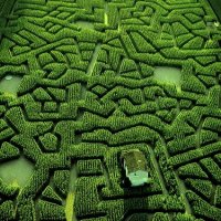 Masterpieces of Landscape Art - Natural Mazes
