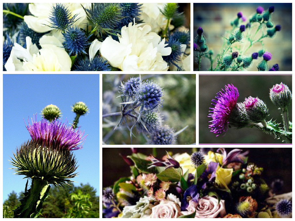  bouquets with thistle